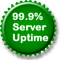 99.9% Server Uptime